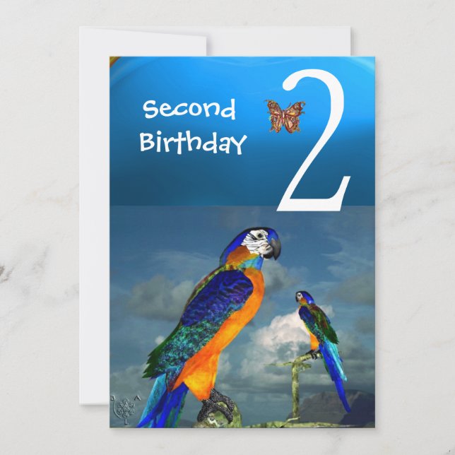 HYPER PARROTS / Second Birthday Party Turquase Invitation (Front)