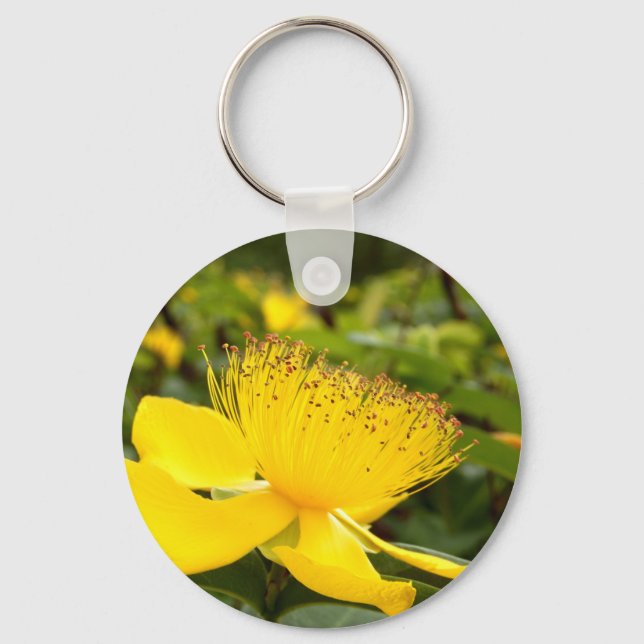 Hypericum Calcyinum Key Ring (Front)