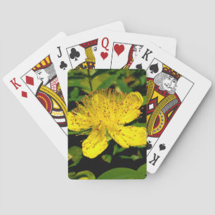 Hypericum calycinum playing cards