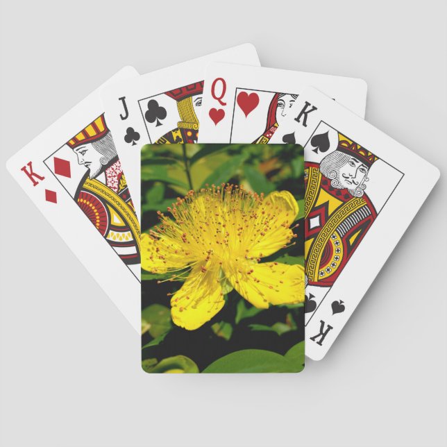 Hypericum calycinum playing cards (Back)