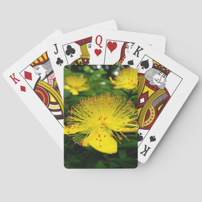 Hypericum calycinum playing cards (Back)