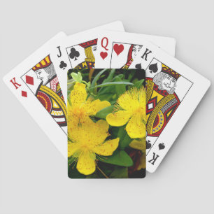 Hypericum calycinum playing cards