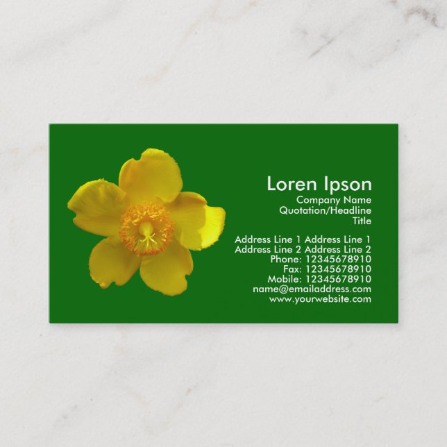 Hypericum Hidcote - Grass Green Business Card (Front)