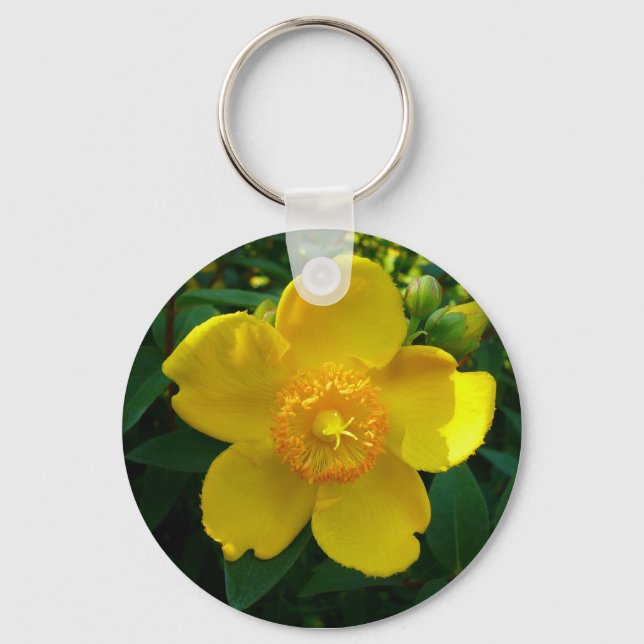Hypericum Hidcote (St. John's Wort) Key Ring (Front)