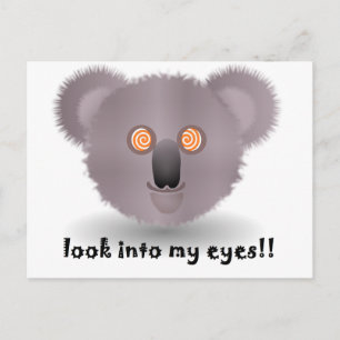 hypnotic koala postcard