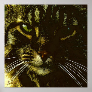 Hypnotising Cat Digital Art Hypnosis Poster