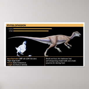 Hypsilophodon - Biology Jurassic Dinosaur Poster