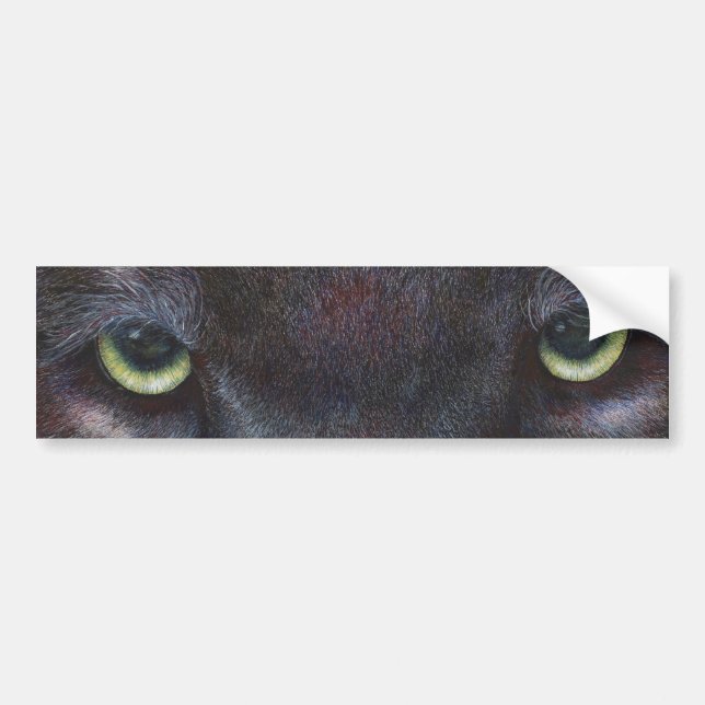 Hyptnotist Eyes Bumper Sticker (Front)