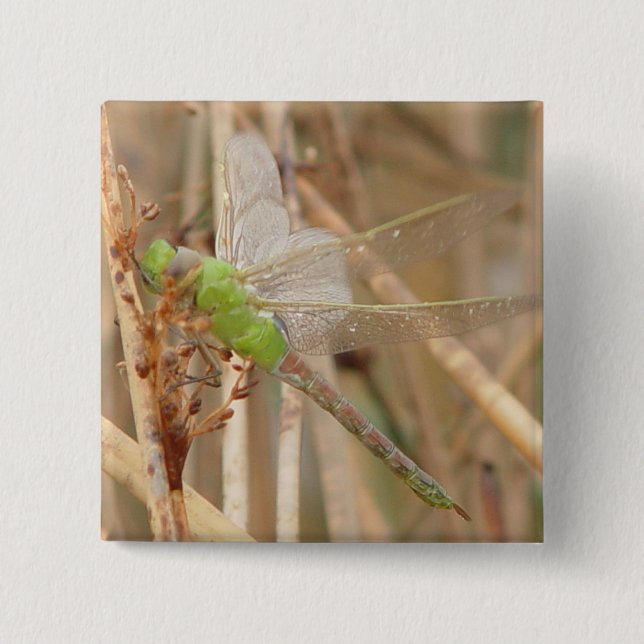I1 Green Dragonfly 15 Cm Square Badge (Front)
