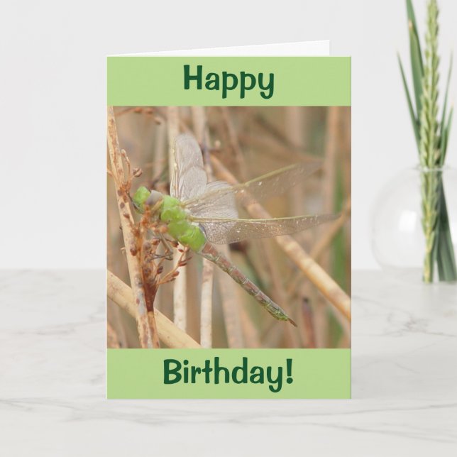 I1 Green Dragonfly Card (Front)