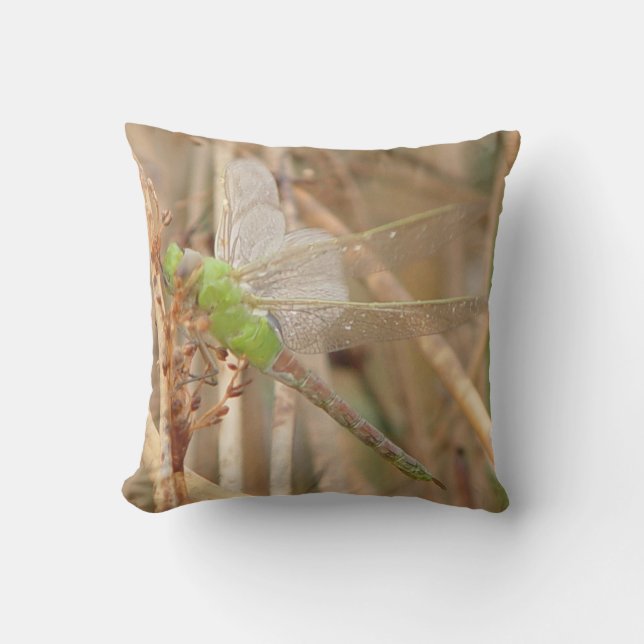 I1 Green Dragonfly Cushion (Front)