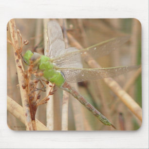 I1 Green Dragonfly Mouse Pad