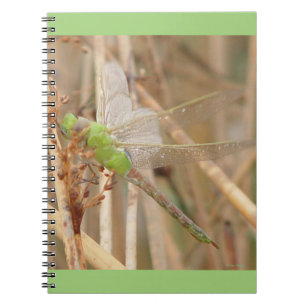 I1 Green Dragonfly Notebook