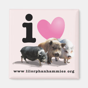 I <3 Pigs Magnet