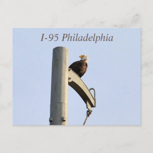 I-95 Philadelphia Bald Eagle Postcard