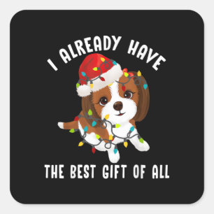 I Already Have Best Gift Of All Cute Shih Tzu Love Square Sticker