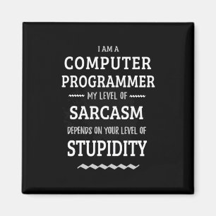 I Am A Computer Programmer Magnet