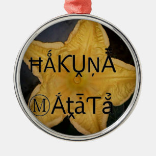 I am a star within. metal tree decoration