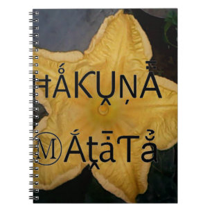 I am a star within. notebook