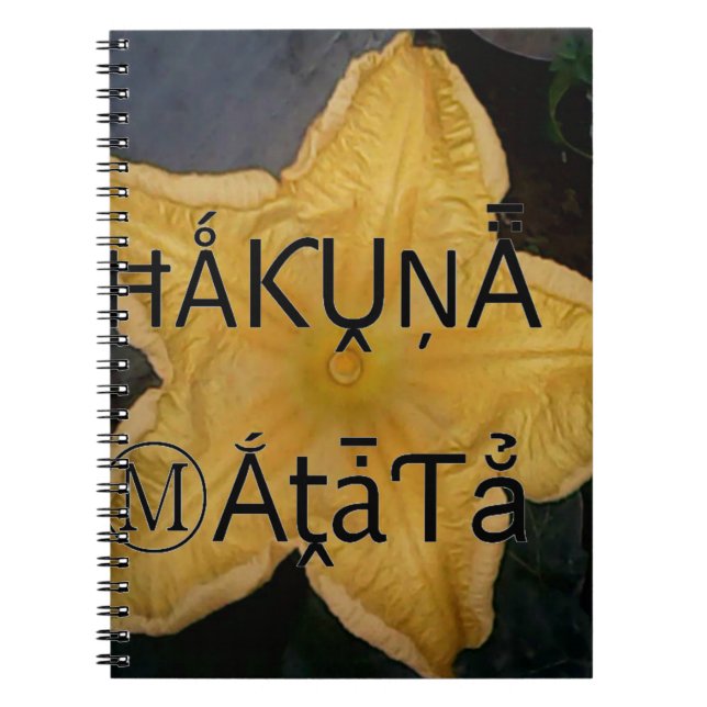 I am a star within. notebook (Front)