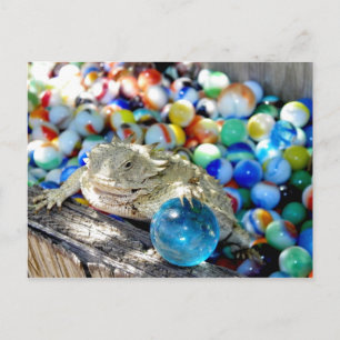 I Am A Straight Shooter --- "Marble Time" Postcard