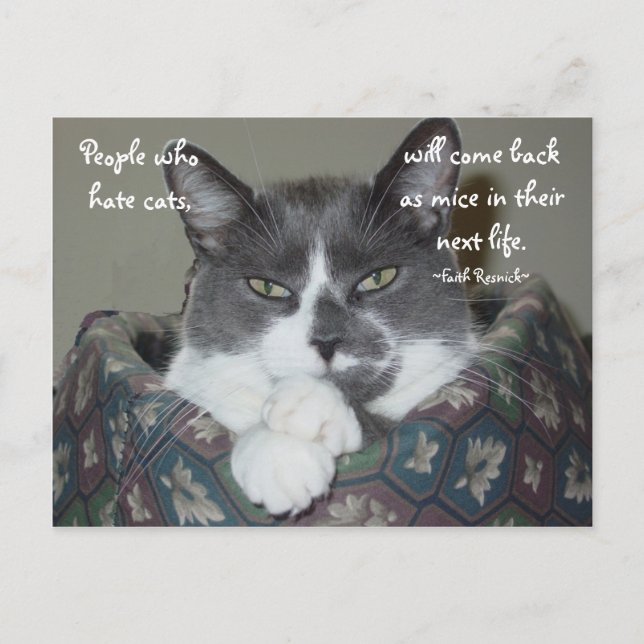 I Am Cat... Postcard (Front)