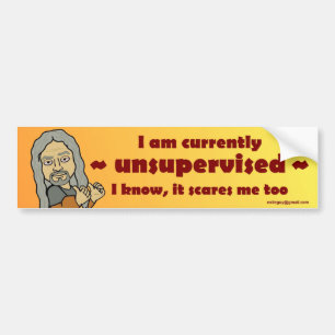 I am currently unsupervised... bumper sticker
