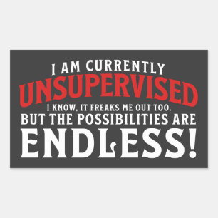 I Am Currently Unsupervised Rectangular Sticker