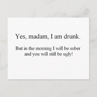 I am Drunk but... (St.K) Postcard
