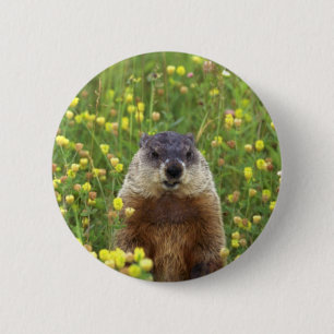 I am Groundhog 6 Cm Round Badge