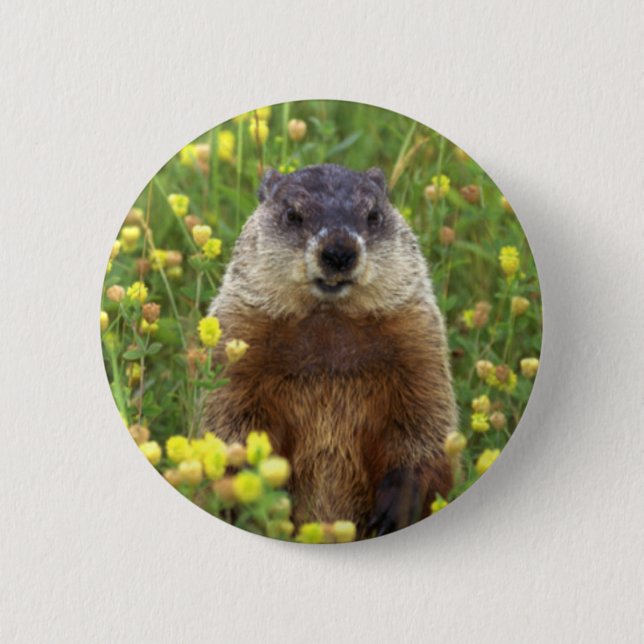 I am Groundhog Button (Front)