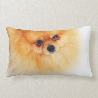 I am Here! Lumbar Cushion