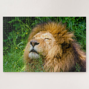 I am King Jigsaw Puzzle