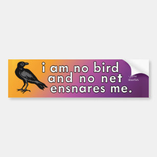 I am no bird and no net ensnares me - Jane Austin  Bumper Sticker