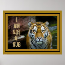 I Am Not A Rug Bengal Tiger