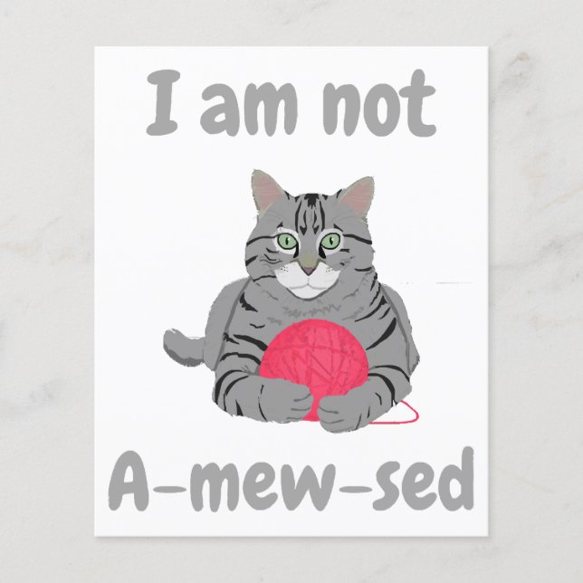I am not amewsed. Funny cat chonk tee (Front)