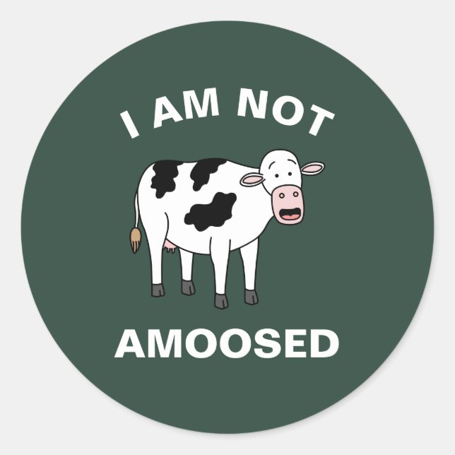I Am Not Amoosed Funny Farming Animal Cow Pun Classic Round Sticker (Front)