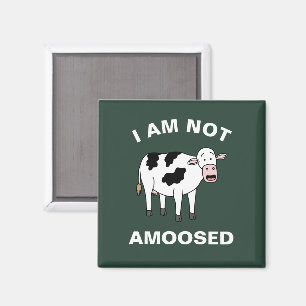 I Am Not Amoosed Funny Farming Animal Cow Pun Magnet