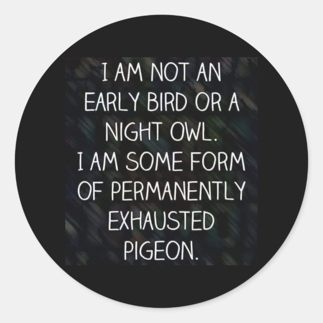 I am Not an Early Bird or a Night Owl... Classic Round Sticker (Front)