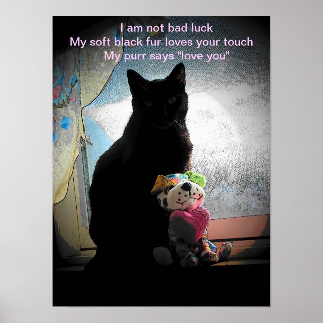 I am not bad luck- haiku poster (Front)