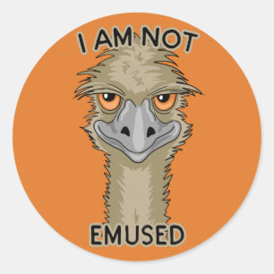 I Am Not Emused Funny Emu Pun   Orange Classic Round Sticker