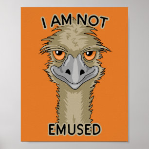 I Am Not Emused Funny Emu Pun Orange Poster