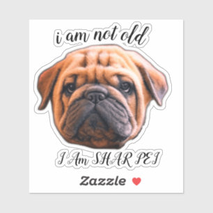 I AM NOT OLD STCKER