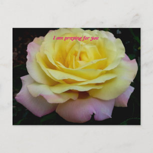 I am praying for you postcard