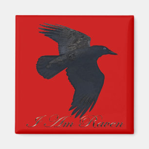 I AM RAVEN Flying Crow Art Magnet