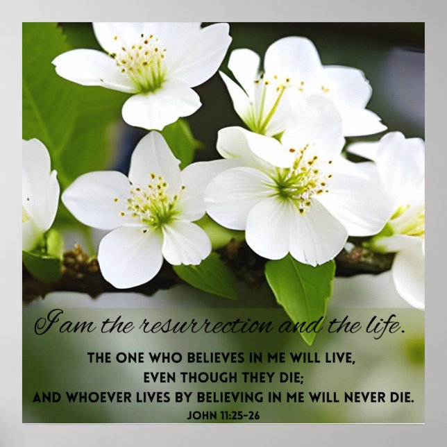 I Am Resurrection Motivational Bible Verse Poster (Front)