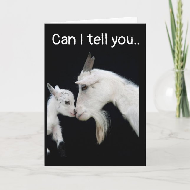 I AM SO **SAD** AND SO **SORRY** CARD (Front)