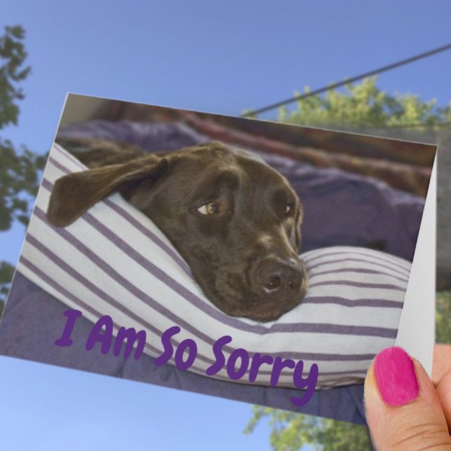 I Am So Sorry Labrador Retriever Belated Birthday Card (Creator Uploaded)