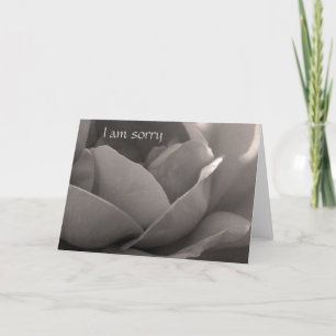 I am sorry - rose card in b&w