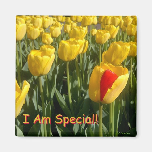 I Am Special! magnet (Front)